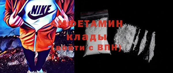 шишки Нея