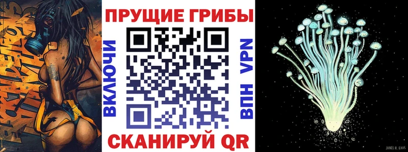 Галлюциногенные грибы Psilocybe  хочу   Кораблино 